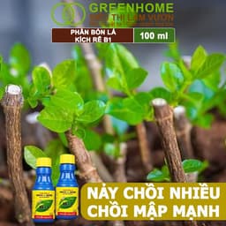 Thumbnail Phân Bón Kích Rễ, Greenhome, B1, Chai 100ml, Tạo Mầm, Rễ Khoẻ, Sai Hoa, Phục Hồi Rễ Yếu, Lá Dày 3