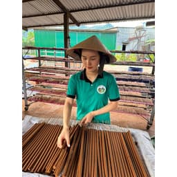 Thumbnail Nhang Sào Quế 58cm - Hương Quế Trà Bồng Quảng Ngãi 500gram 1