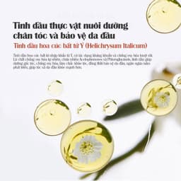 Thumbnail [MUA 1 TẶNG 1] Dầu Gội Xả 2IN1 LILYSTAR Phục Hồi Tóc Chuyên Sâu Chứa Tinh Dầu Nuôi Dưỡng Ẩm Giúp Tóc Mềm Mượt Chai 200ml 1