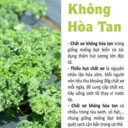 Thumbnail Bột cải xoăn kale sấy lạnh nguyên chất Dalahouse 60gr đạt tiêu chuẩn Châu Âu 1