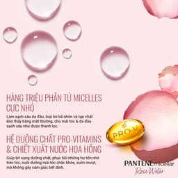 Thumbnail Combo Dầu Gội Và Dầu Xả PANTENE Micellar Hoa Hồng/ Tảo Biển / Hoa Súng - Chai 530ML x2 3