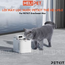 Thumbnail [Bản Quốc Tế] Lõi Lọc Nước PETKIT Filter RECT Dùng Cho PETKIT Eversweet Max - HeLiPet 2