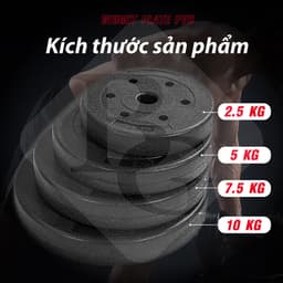Thumbnail BG - Tạ miếng nhựa pvc đặc ruột tạ bánh nhựa tạ đĩa 1,25kg 3