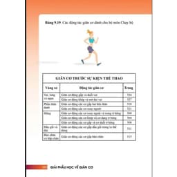 Thumbnail Sách - Giải Phẫu Học Về Giãn Cơ (PD) 2