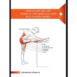 Thumbnail Sách - Giải Phẫu Học Về Giãn Cơ (PD) 4