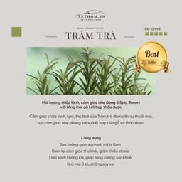 Thumbnail KHUẾCH TÁN THƠM PHÒNG 100ML - TRÀM TRÀ - THƯ GIÃN SẢNG KHOÁI 3