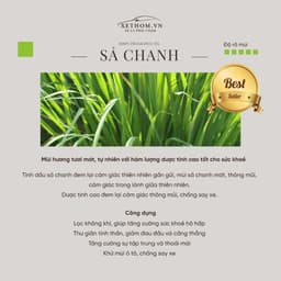 Thumbnail NƯỚC HOA THƠM PHÒNG DẠNG QUE TÁN - SẢ CHANH 200ML 3