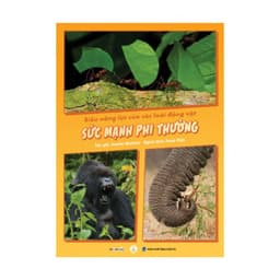 Thumbnail Hộp Háo Hức Giải Mã Năng Lực Tiềm Ẩn sách cho bé 6-10 tuổi cùng con khám phá siêu năng lực trong thế giới tự nhiên 4