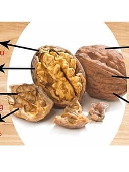 Thumbnail Hạt óc chó vàng nguyên vỏ Mộc Lan nhập khẩu Mỹ, chất lượng cao tốt cho sức khoẻ- 250g, 500g 3