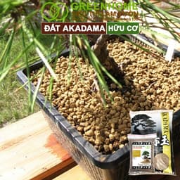Thumbnail Đất Akadama Greenhome, Bao 500GR, Giá Thể Bonsai, Kiểng Lá, Sen Đá, Phân Nền Thủy Sinh, Dưỡng Chất 4