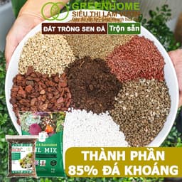 Thumbnail Đất Trồng Sen Đá Greenhome, Soil Mix, Bao 500gr, Trộn Sẵn, 85% Đá Khoáng, Lên Màu, Thoát Nước Tốt 3