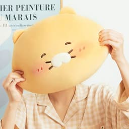 Thumbnail Gối ôm Face Choonsik Kakao Friends 1