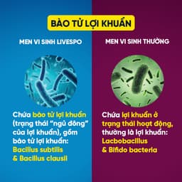 Thumbnail Combo 3 Hộp Bào tử lợi khuẩn LiveSpo Colon dùng cho Viêm Đại Tràng, Tiêu chảy, Táo bón(10 ống) 4