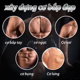 Thumbnail BG - Tạ miếng nhựa đặc ruột tạ bánh nhựa tạ đĩa 20KG 3