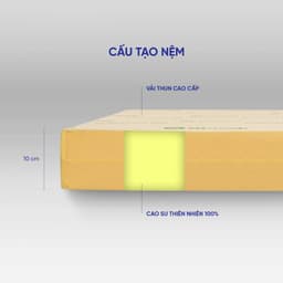 Thumbnail Nệm Cao Su Thiên Nhiên 100% Gummi Standard 2.0 10cm Vua Nệm, Mùi Hương Vani 4