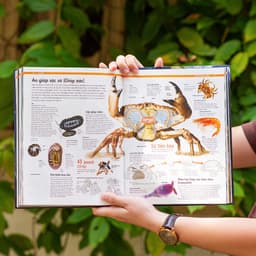 Thumbnail Sách trái đất sự vận hành tự nhiên sách khám phá tự nhiên trái đất Bìa cứng 256 trang - Á Châu Books 3