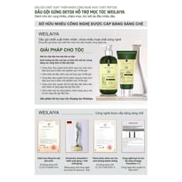 Thumbnail Dầu gội đầu thảo dược Weilaiya gừng detox da đầu và kích thích mọc tóc gấp đôi hiệu quả cho da đầu dầu 420ml 3