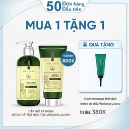 Thumbnail Bộ Gội Xả Gừng Xanh Detox Hỗ Trợ Mọc Tóc & Ngăn Lão Hóa Da Đầu (Gội 420ml; Xả 200ml) 2
