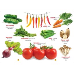 Thumbnail Sách - Từ Điển Bằng Tranh ( Rau Củ Quả ) 4