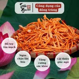 Thumbnail Set trà thảo mộc Triệu Gia gồm Long nhãn, Kỷ tử, Đông trùng hỗ trợ tăng cường sinh lý giúp ngủ ngon đẹp da 4