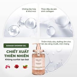 Thumbnail Sữa tắm dưỡng trắng cánh hoa hồng Damask Weilaiya Shower Gel làm sạch và sáng da toàn thân 450ml 2