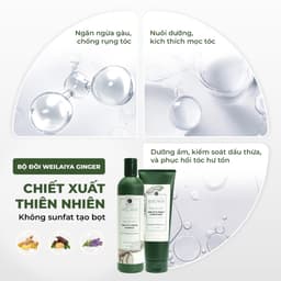 Thumbnail Bộ dầu gội và dầu xả chính hãng Weilaiya tinh chất gừng hỗ trợ mọc tóc ngăn rụng tóc cho da đầu dầu 2