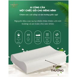 Thumbnail Gối Cao Su Cỡ Nhỏ 30x50x7 cm Thiết Kế Nâng Đỡ Cổ Vai Gáy, Ngủ Sâu Hơn Kèm Vỏ Tencel 100s 2