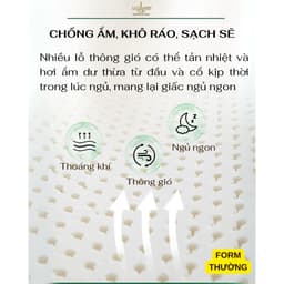 Thumbnail Gối Cao Su Cỡ Nhỏ 30x50x7 cm Thiết Kế Nâng Đỡ Cổ Vai Gáy, Ngủ Sâu Hơn Kèm Vỏ Tencel 100s 3