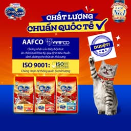 Thumbnail Combo 2 Thức ăn hạt thơm ngon/ giảm nôn trớ cho mèo từ Nhật Bản Silver Spoon - Vị gà, cá (1kg/800g) 3