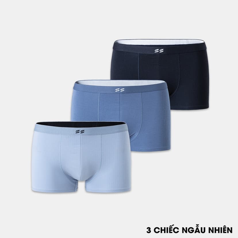 Ảnh Combo 3 Quần Lót Sịp Đùi Nam Modal, Coolmax 5S FASHION Thoáng Khí, Thấm Hút (BOX24003-22002) 1