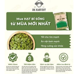 Thumbnail 500g Hạt Bí Sống DK Harvest, Nguồn Hàng Chất Lượng Cao - Thực Phẩm Giàu Kẽm 1