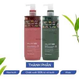 Thumbnail Dầu gội xả bưởi Valert Grapefruit iloliyas 850ML mẫu mới phục hồi dưỡng ẩm, chống rụng kích mọc tóc 3