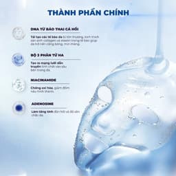 Thumbnail Combo 10 Mặt Nạ BNBG MIX Tinh Chất Hỗ Trợ Tăng Cường Dưỡng Da Chuyên Sâu BNBG Skinbooster Mask 30ml x10 4