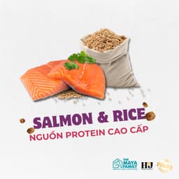 Thumbnail Hạt cho mèo triệt sản HJ PREMIUM SALMON, RICE STERILISED CAT - cá hồi, gà, bò bao 2kg 4
