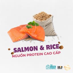 Thumbnail Hạt cho chó HJ PREMIUM SALMON, RICE ADULT DOG - Cá hồi, bò, gà - Bao 2kg 4