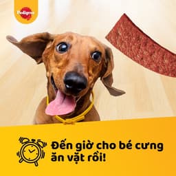 Thumbnail Pedigree Schmackos Bánh thưởng cho chó 70g 1