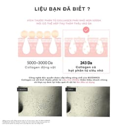 Thumbnail BIODANCE Mặt Nạ Thạch Collagen Thu Nhỏ Lỗ Chân Lông Da Căng Bóng Collagen Real Deep Mask 34g 3