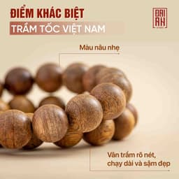 Thumbnail Vòng tay trầm hương tròn đơn tốc Việt Nam THIÊN MỘC HƯƠNG thành công, giàu sang, thuận lợi 3