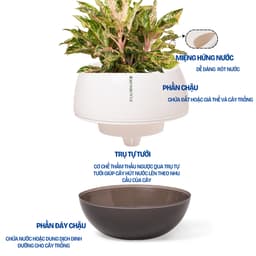 Thumbnail Chậu tự tưới để bàn I0 Monrovia, dáng chậu tròn, chất liệu nhựa PP, màu sắc sang trọng 2