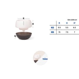 Thumbnail Chậu tự tưới để bàn I0 Monrovia, dáng chậu tròn, chất liệu nhựa PP, màu sắc sang trọng 3