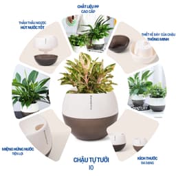 Thumbnail Chậu tự tưới để bàn I0 Monrovia, dáng chậu tròn, chất liệu nhựa PP, màu sắc sang trọng 1