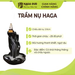Thumbnail [GIFT] Trầm nụ Haga 3 Sạch, Hương thơm trầm hương ngọt ấm, Xông nhà tẩy uế - 3 NỤ 2