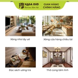 Thumbnail [GIFT] Trầm nụ Haga 3 Sạch, Hương thơm trầm hương ngọt ấm, Xông nhà tẩy uế - 3 NỤ 4