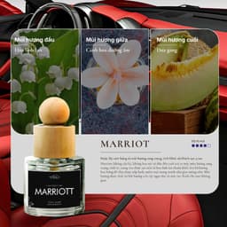 Thumbnail Nước Hoa Ô Tô Cao Cấp Để Taplo, Khay Đựng Cốc - Khử Mùi, Chống Say Xe, Lưu Hương Lâu - Car Perfume By Homelab 2