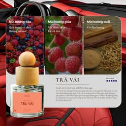 Thumbnail Nước Hoa Ô Tô Cao Cấp Để Taplo, Khay Đựng Cốc - Khử Mùi, Chống Say Xe, Lưu Hương Lâu - Car Perfume By Homelab 3