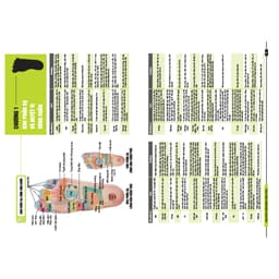 Thumbnail Sách - Liệu pháp chữa bệnh toàn thân - Khu phản xạ 4