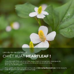 Thumbnail Kem Dưỡng Làm Dịu, Phục Hồi Cho Da Nhạy Cảm Neogen Dermalogy Real Heartleaf Soothing Cream 80g 4