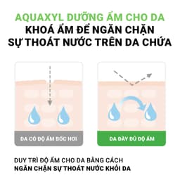 Thumbnail Combo 10 Mặt Nạ Siêu Tinh Chất Phục Hồi  DR WonJin 8 CICA Relaxing Fill 27g (KHÔNG HỘP) [B2] 2