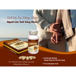 Thumbnail Viên uống Đông Trùng Hạ Thảo HB CORDY EXTRACT  Healthy Beauty hộp 60 viên 4
