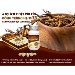 Thumbnail Viên uống Đông Trùng Hạ Thảo HB CORDY EXTRACT  Healthy Beauty hộp 60 viên 2